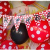 A Minnie Mouse Birtday Party | Αριάννα